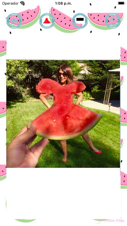 Watermelon dress stickers screenshot-3