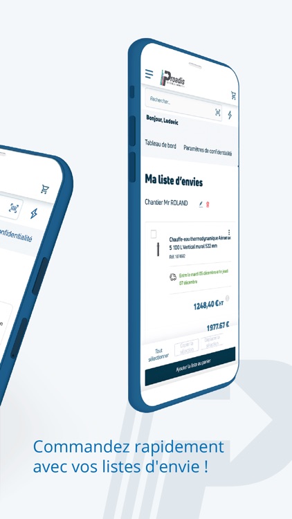 Proadis screenshot-4