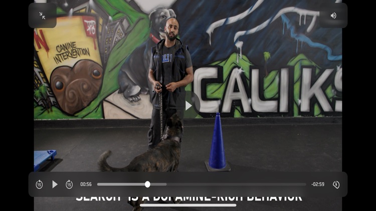 Cali K9 screenshot-8