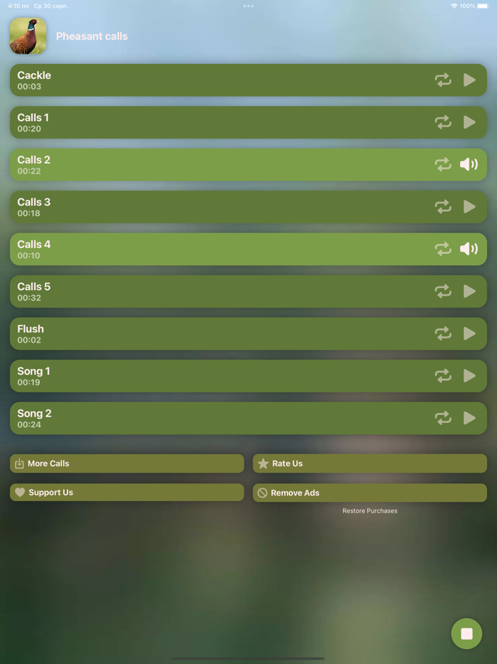 Hunting Calls Pheasant