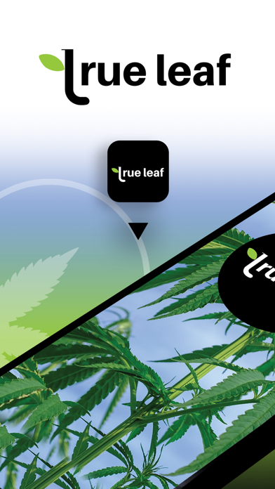 True Leaf Screenshot