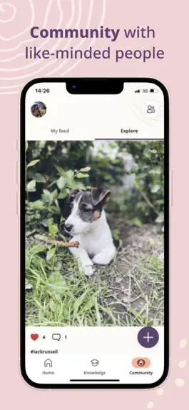 Game screenshot Petli:Dog Training & Community apk