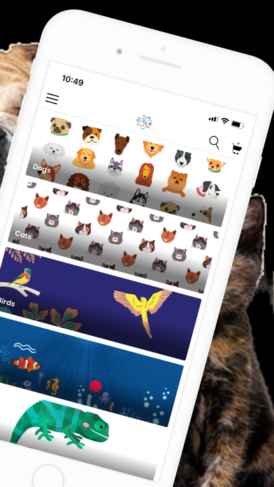 P n T Pet Shop Screenshot