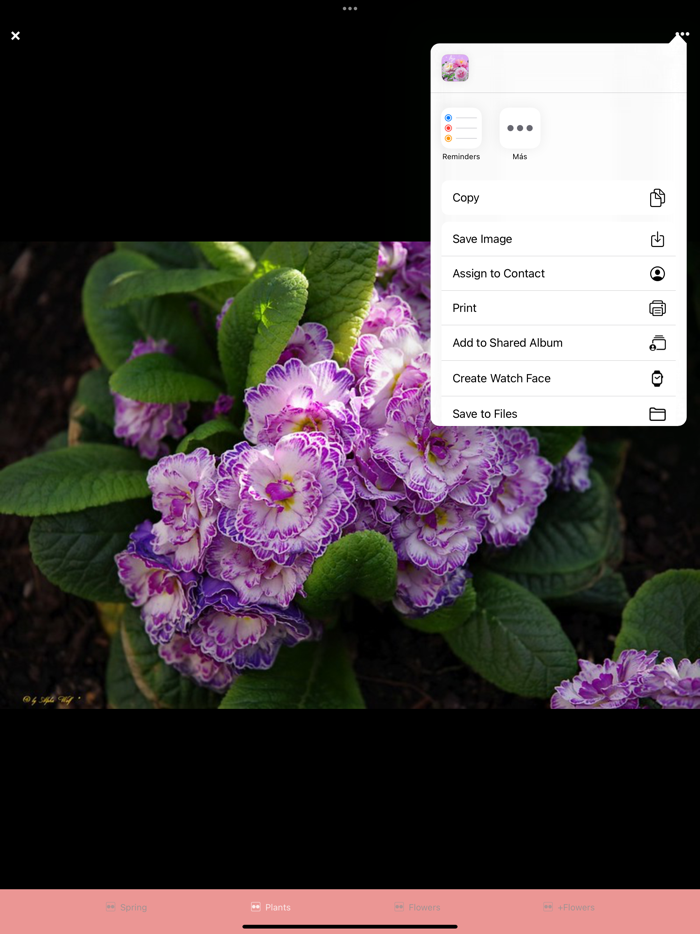 PicFlowers Flowers Images App