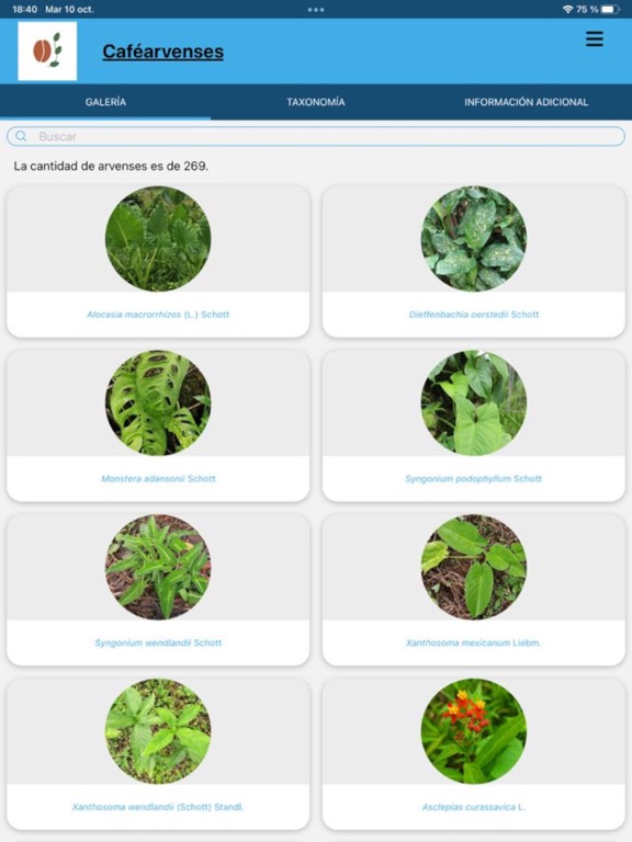 Screenshot #6 pour Caféarvenses