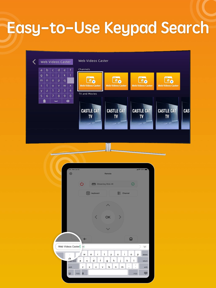Screen Mirroring Web Cast TV