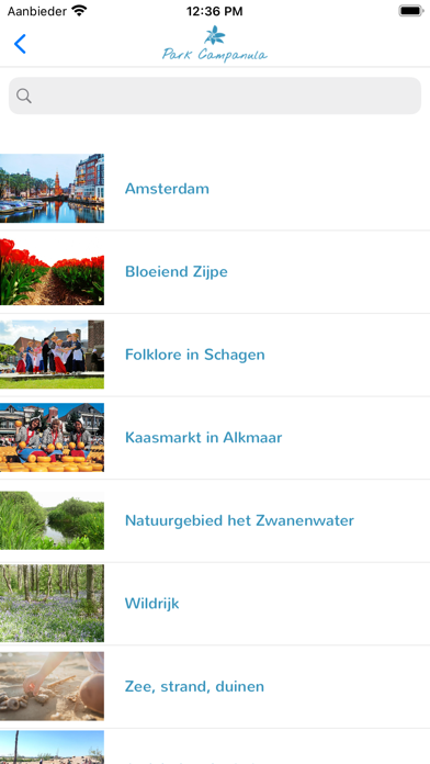 Park Campanula Screenshot