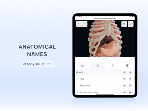 VOKA 3D Anatomy Medical Atlasのおすすめ画像6