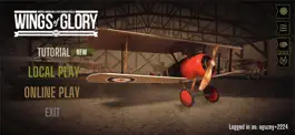 Game screenshot Wings of Glory mod apk