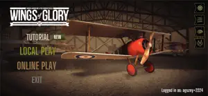 Wings of Glory screenshot #2 for iPhone