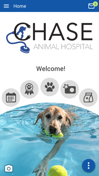 Chase Animal Hospital Screenshot