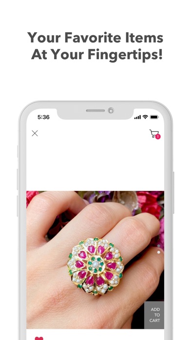 Rudradhan Screenshot