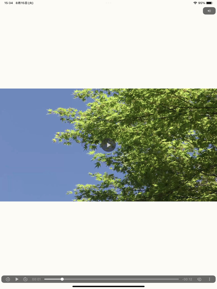 PlayX2 - double-speed playback