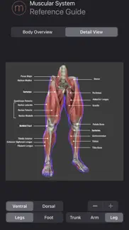 muscle study guide problems & solutions and troubleshooting guide - 3