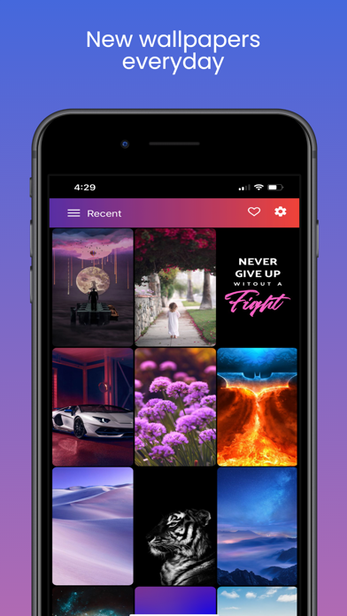 Wallpaper Expert Pro Screenshot
