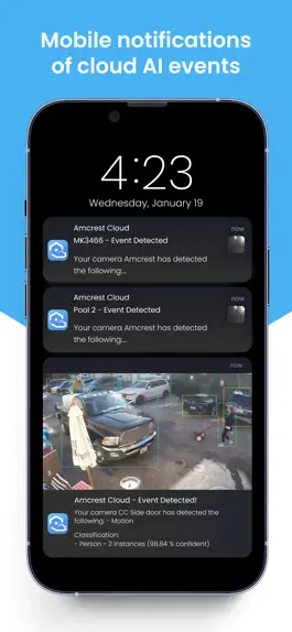 Game screenshot Amcrest Cloud hack