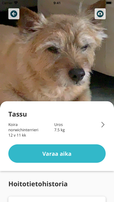 Eläinlääkäriasema Lillvet Screenshot