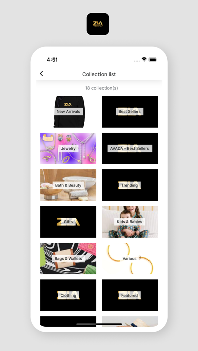 ZLA Screenshot