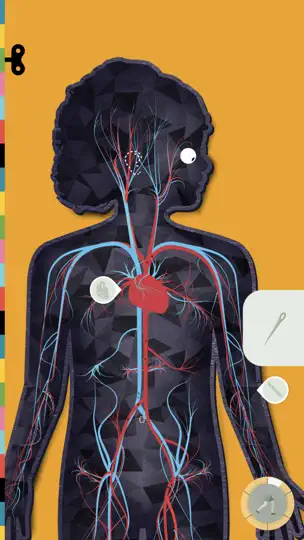Captura de pantalla de El Cuerpo Humano Por Tinybop en iPhone 4