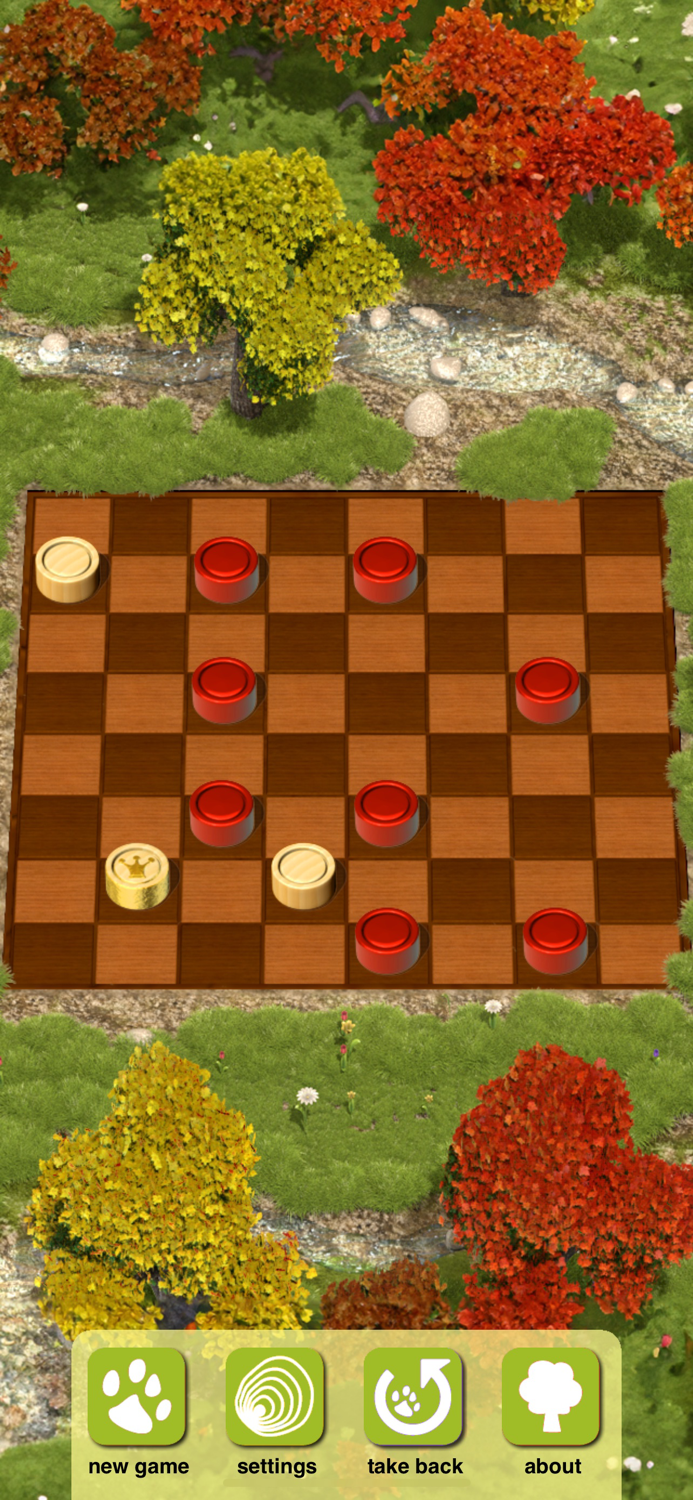 Checkers Master