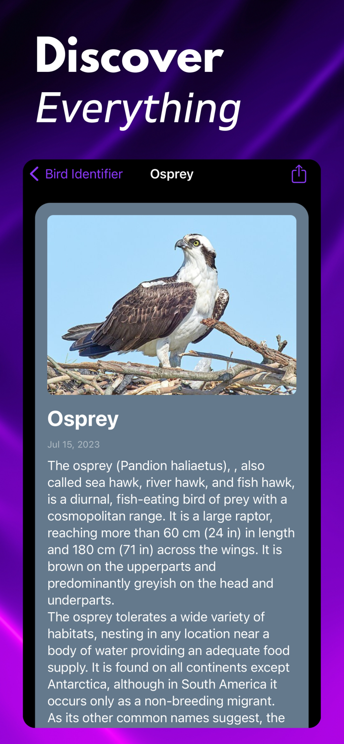 Bird ID Identify Birds