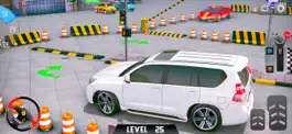 Game screenshot Car Driving School Parking Sim apk