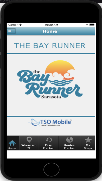 The Bay Runner Screenshot
