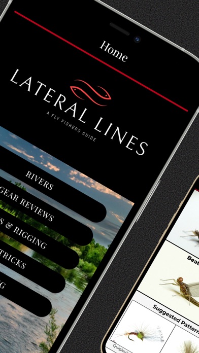 Lateral Lines Screenshot