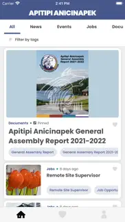 apitipi anicinapek nation iphone screenshot 2