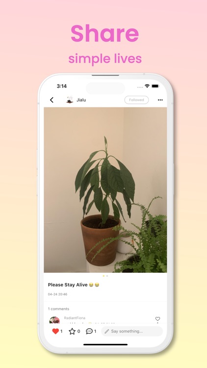 MemoFlow - Discover Lifestyles screenshot-4