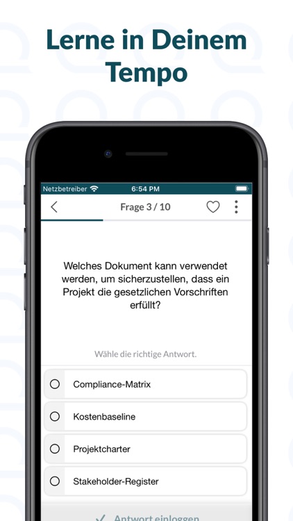 IPMA Projektmanagement Trainer