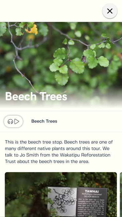 Taonga Trails Screenshot