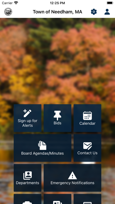 Town of Needham, MA Screenshot