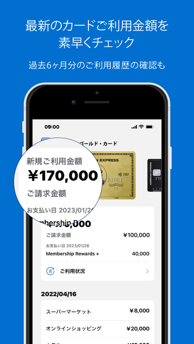 Amex Japan screenshot1