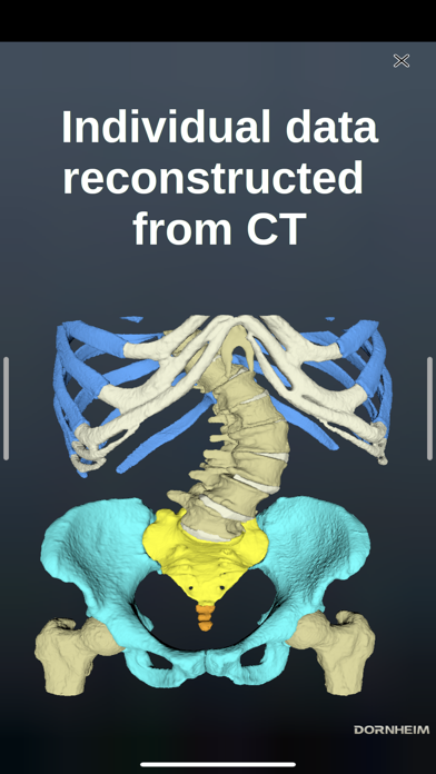 Dornheim Real Anatomy Screenshot