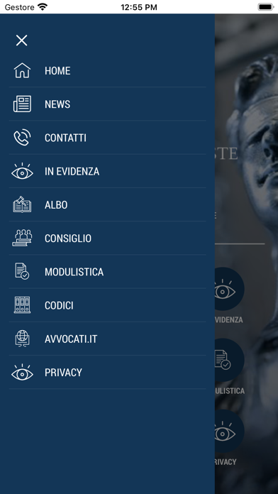 Ordine Avvocati Trieste Screenshot