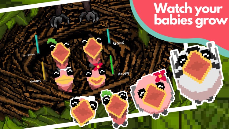 Hungry Birds screenshot-3