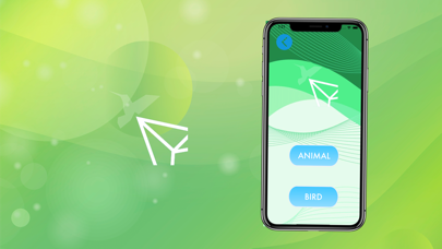 Learn Blue Flying Bird Screenshot