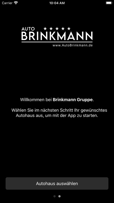 AutoBrinkmann Screenshot