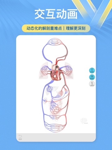 维萨里3D解剖-学生学习老师教学医生资源人体医学图谱大全のおすすめ画像2