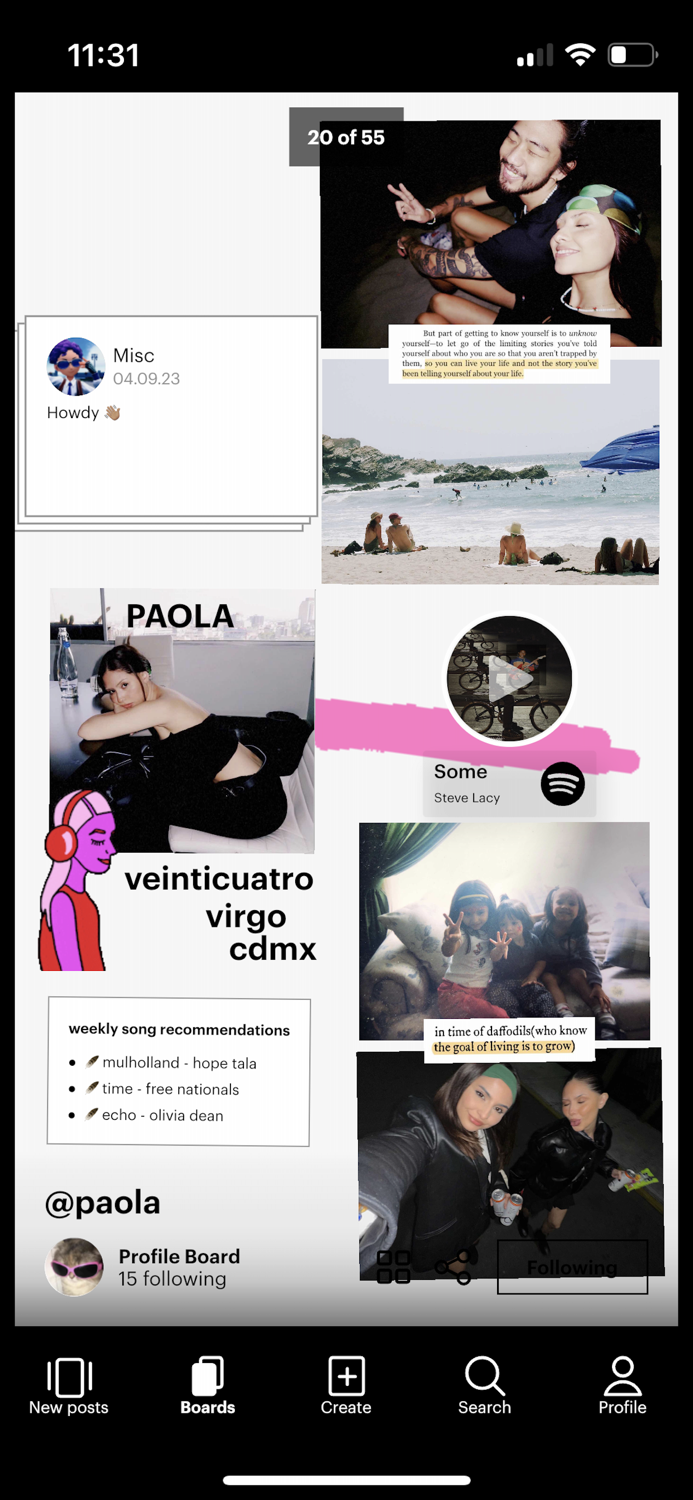 Cactus - Collage maker