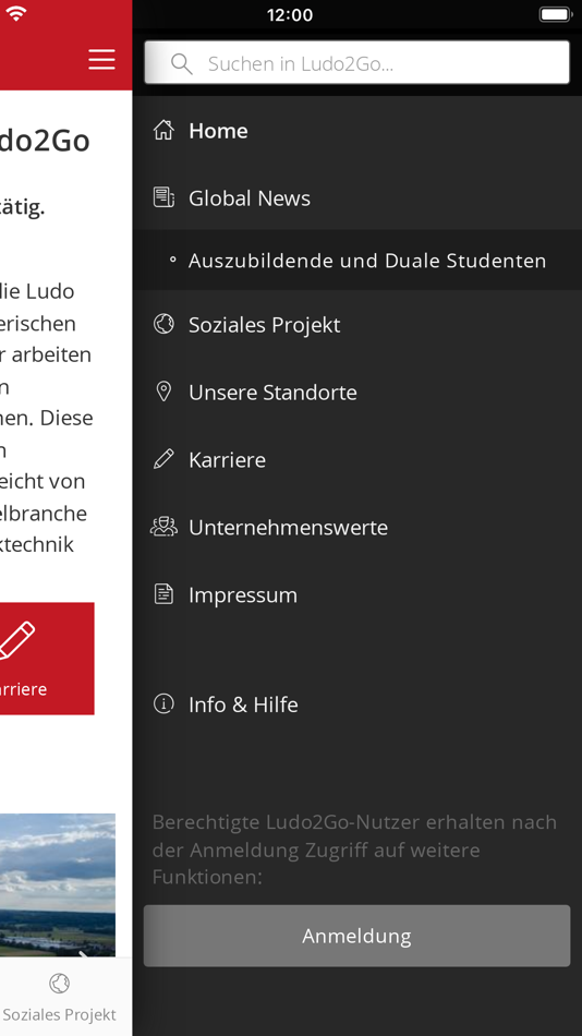 #2. Ludo2Go (iOS) 由: Friedmann Print Data Solutions GmbH