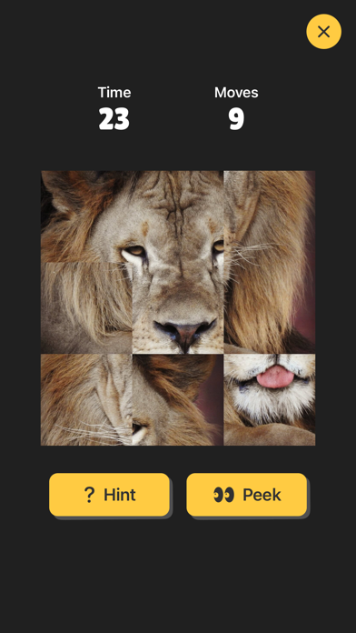 Puzzled Pics Screenshot