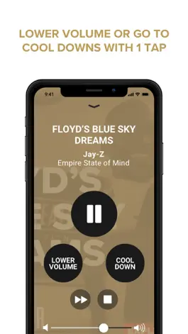 Game screenshot Mayweather Music hack