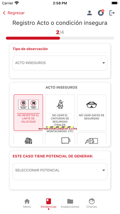 ACE Seguridad Screenshot