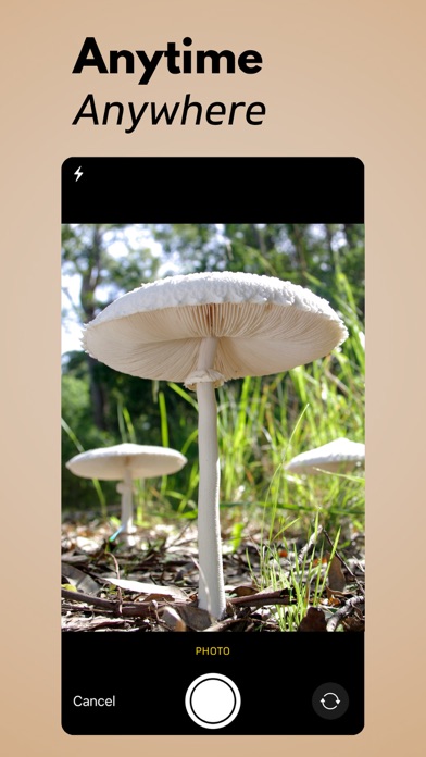 Mushroom Identification+ Screenshot