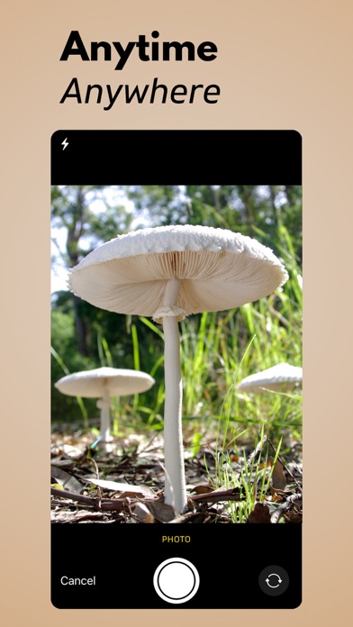 Mushroom Identifier AI Screenshot