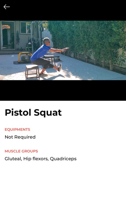 Bed and Bench Press screenshot-4