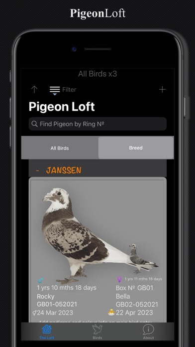 PigeonLoft Screenshot
