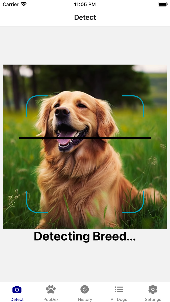 Dog Breed Identifier - PupDex